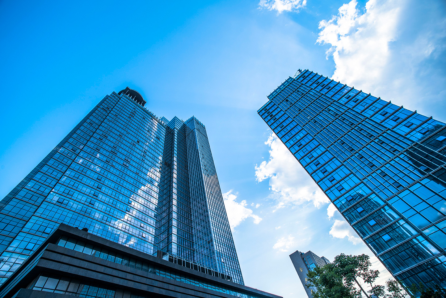 热烈祝贺山东利菲电气设备有限公司网站上线